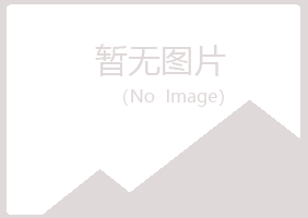 河池盼夏水泥有限公司